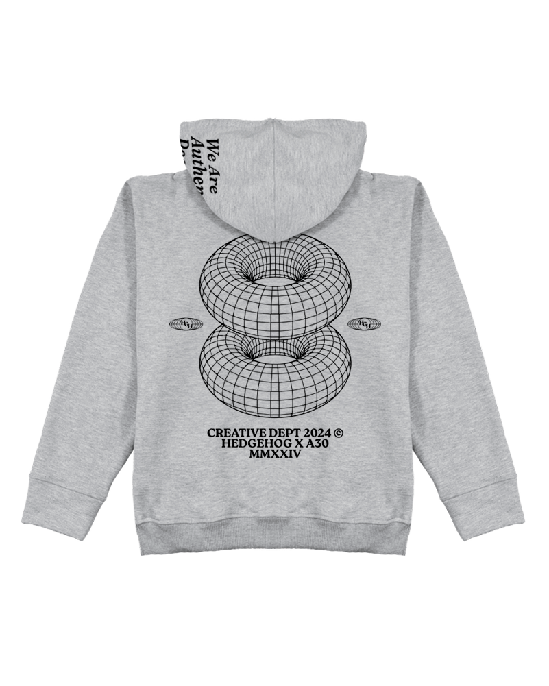 Hoodie Grey Creative A30 Edición Limitada